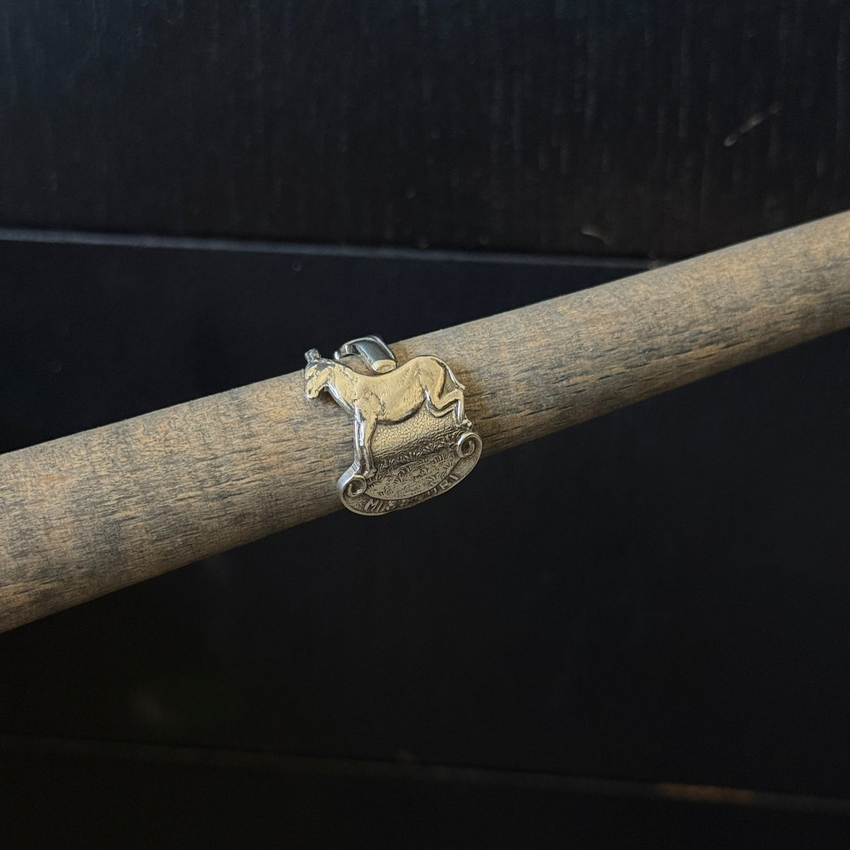 Missouri Donkey - 7.5 RingByJosh