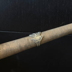 Madagascar - 8.5 RingByJosh