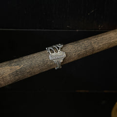 Argentina - Size 8 RingByJosh